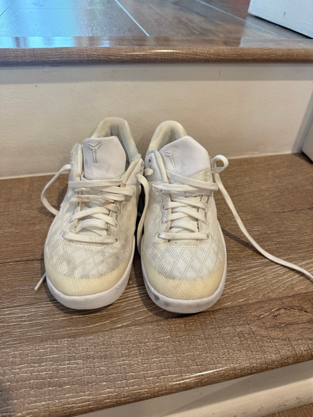 Nike Kobe 8 Protro
Halo (PS)